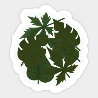 my circle leaf Sticker